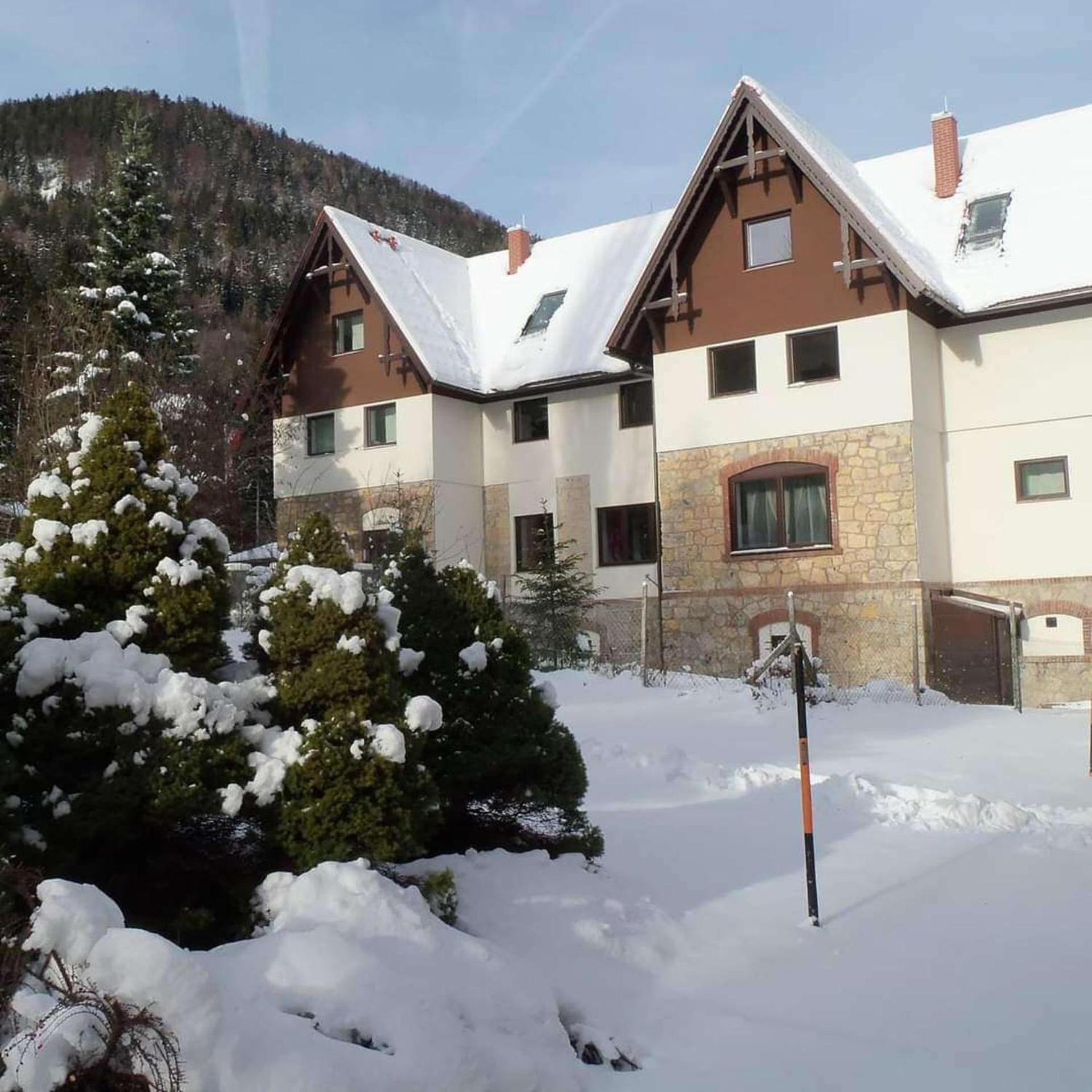 Villa Wellspacher Semmering 2Br Luxury Apartment Exterior photo